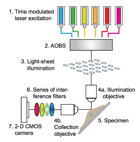 lightsheetdiagram.jpeg