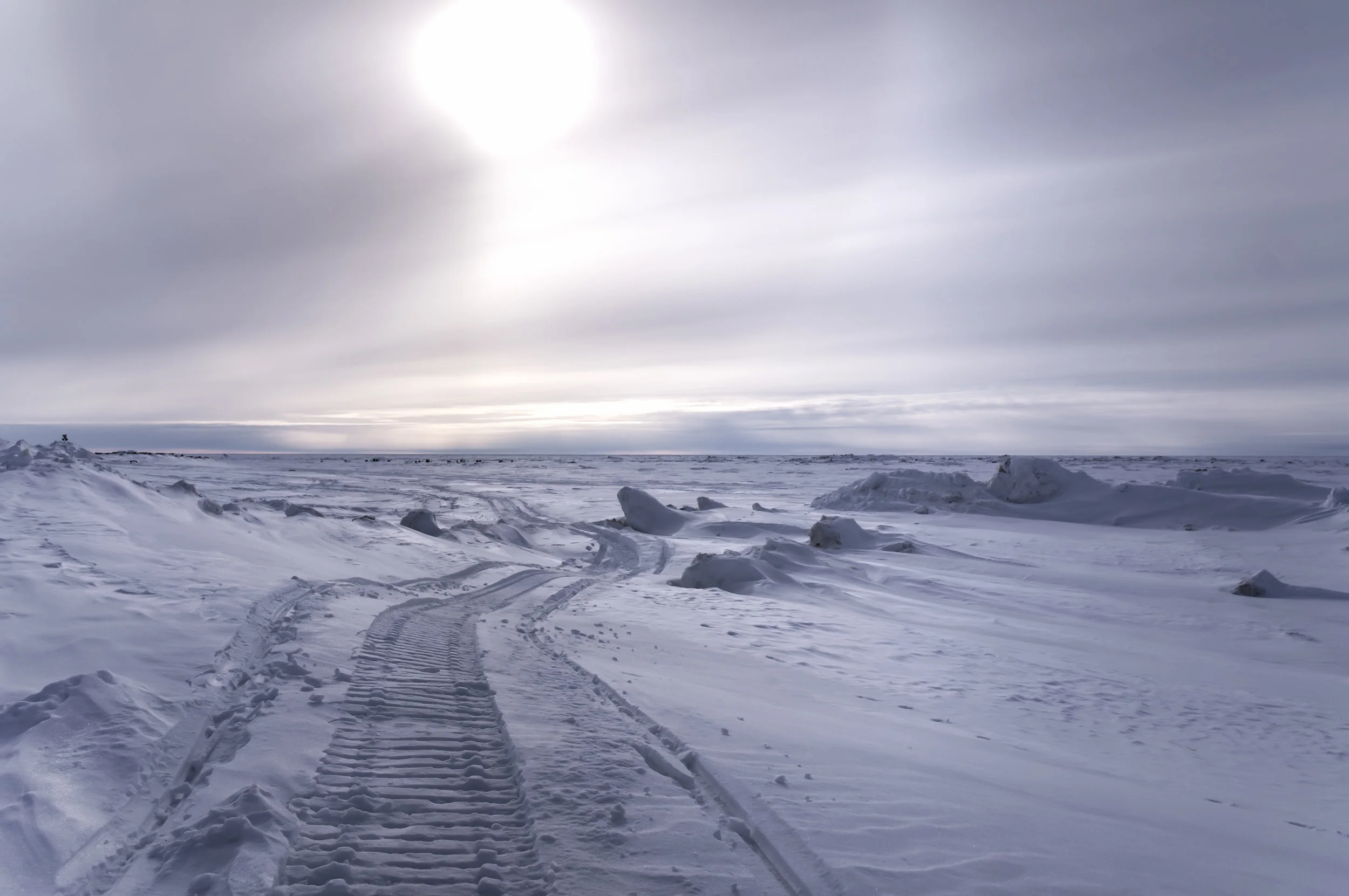 Into the Arctic JPG.jpg