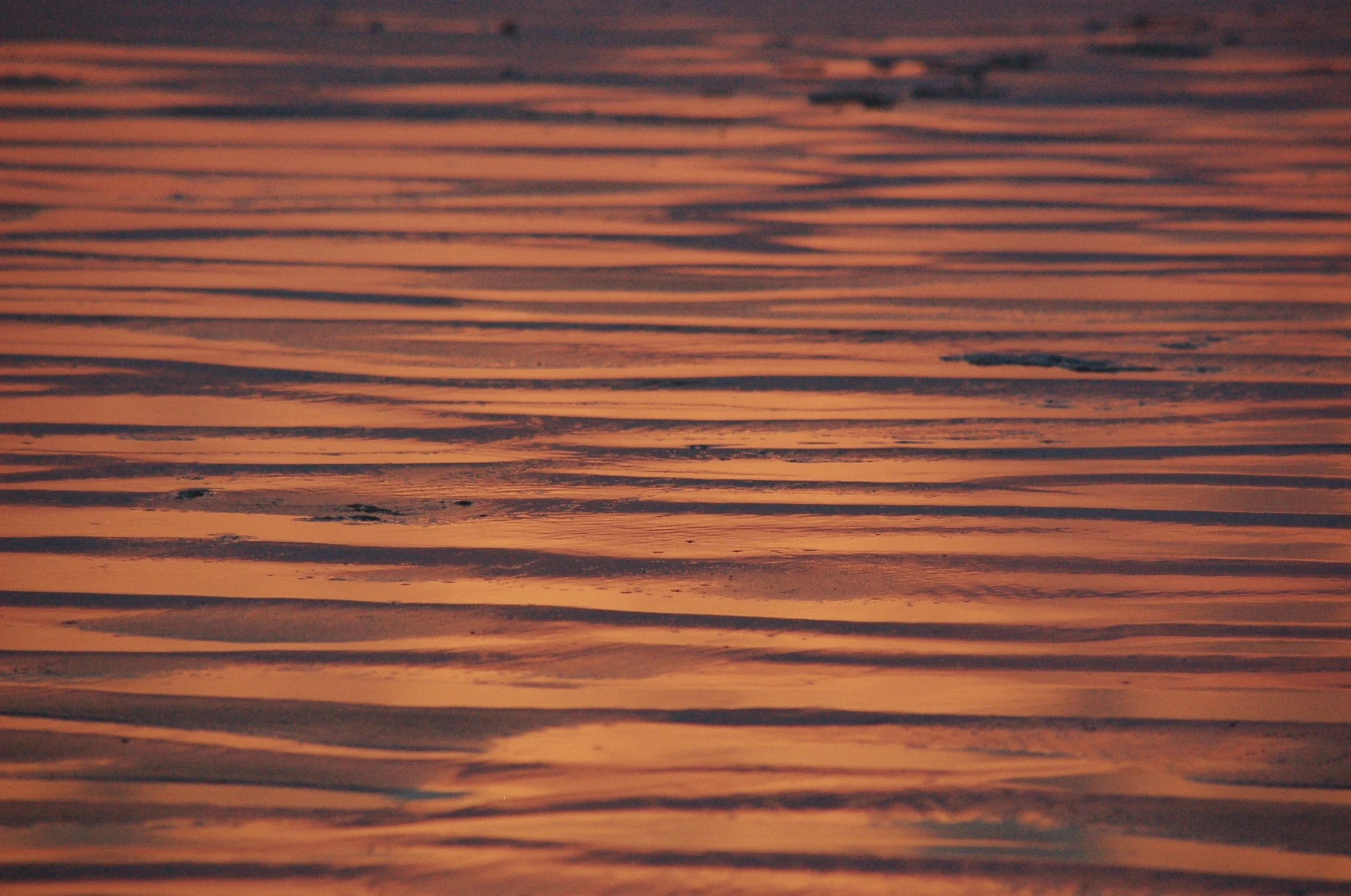 DSC_0262.JPG