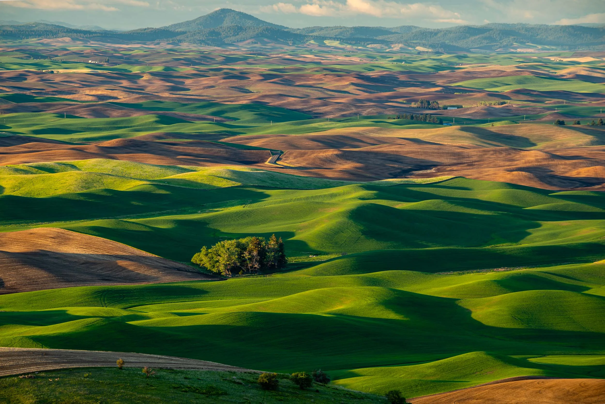 palouse_-6.jpg