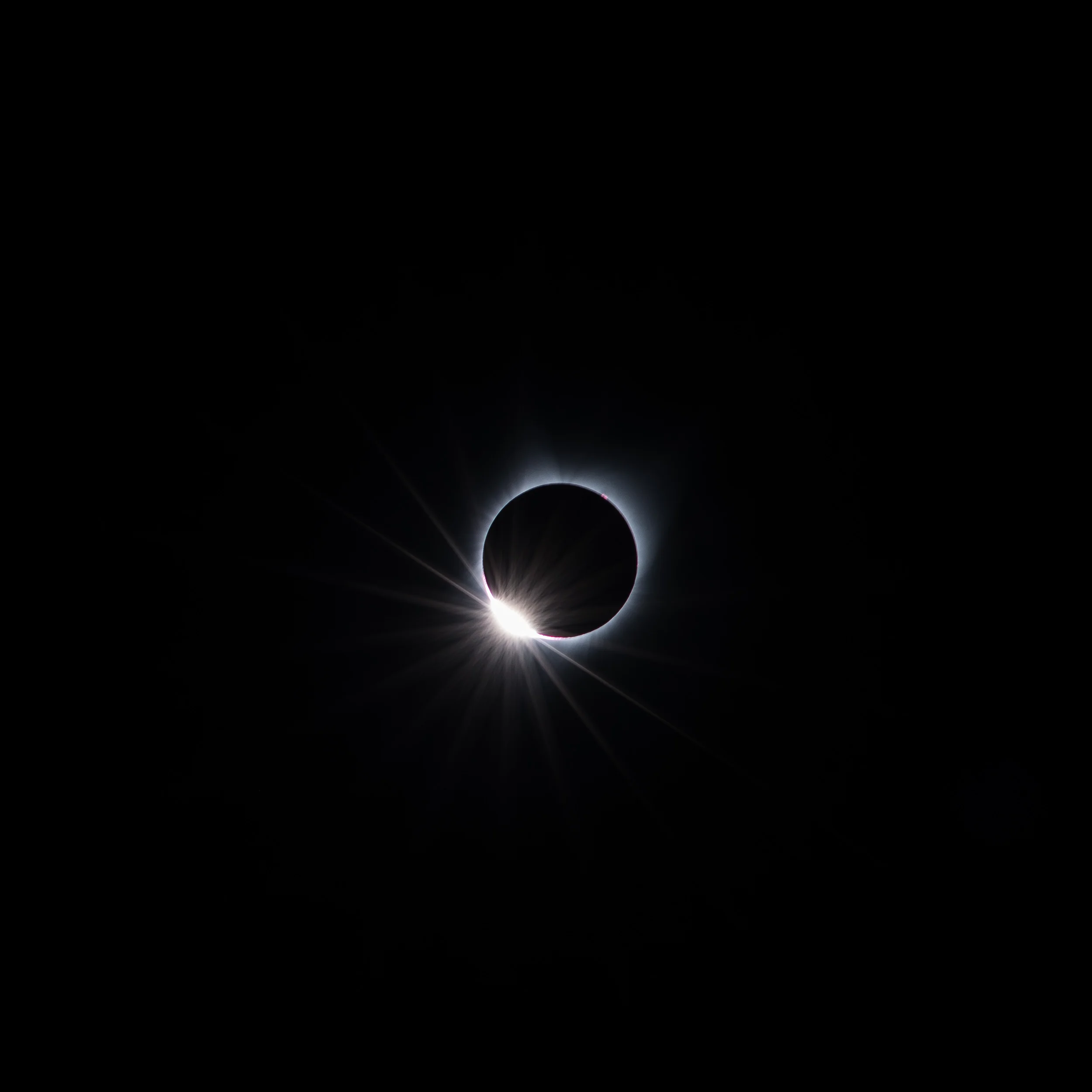 portfolio_1632.jpg