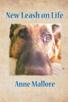 annesnewcoverimage2017dec.jpg