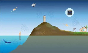 Whale to Web communication