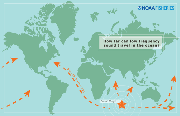 Image 1: An image by NOAA. A visual representation how far low-frequency sounds travel through the ocean.