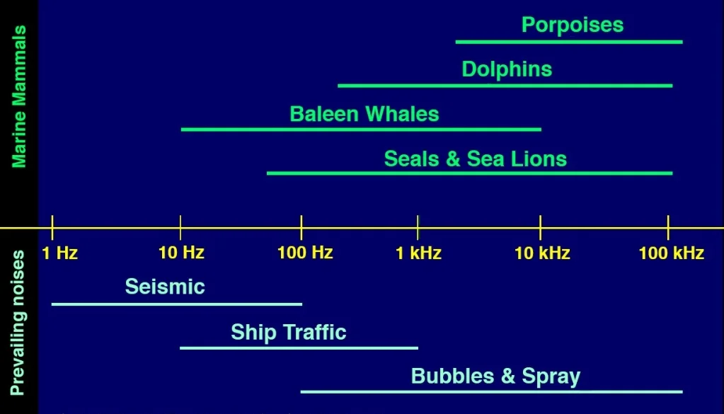 Image 2: An image by the University of Rhode Island . A visual representation (in frequency (Hz)) of how anthropogenic noises interfere with marine mammals. Baleen whales' sounds are masked by seismic, ship traffic and bubbles & spray noises.
