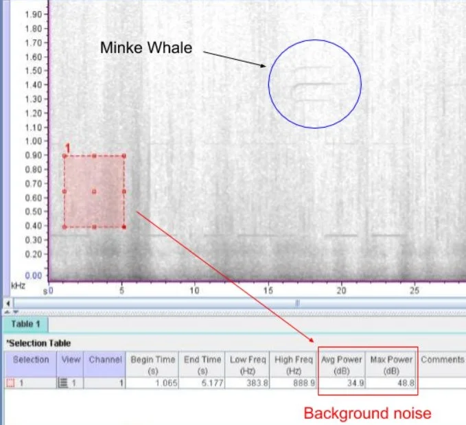 HUMPACS West Spectrogram