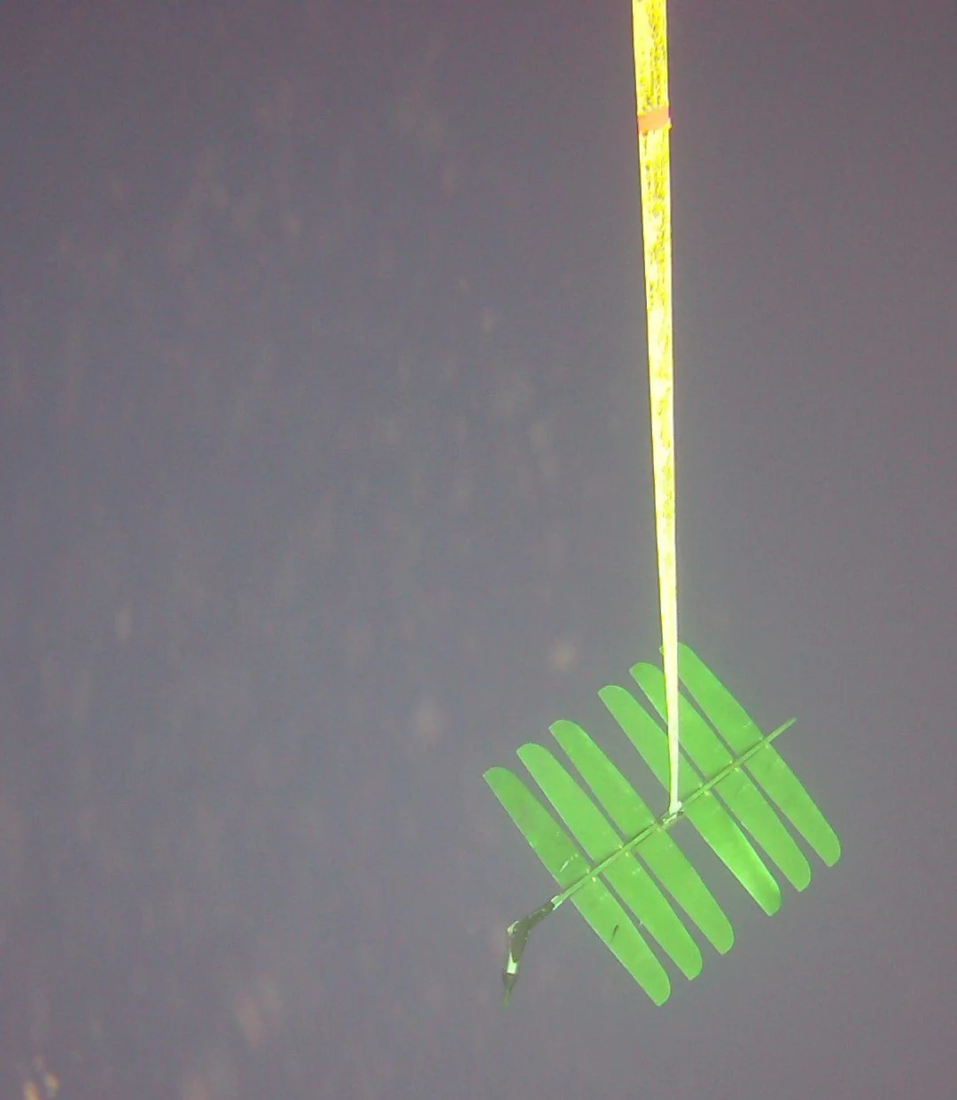 Europa at the beginning of the “right rudder” on February 11, 2019