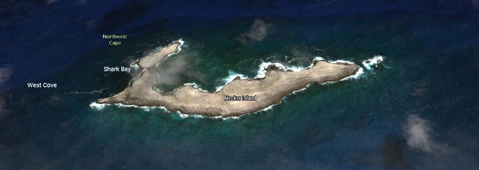 Necker Island — Current Blog — Jupiter Research Foundation