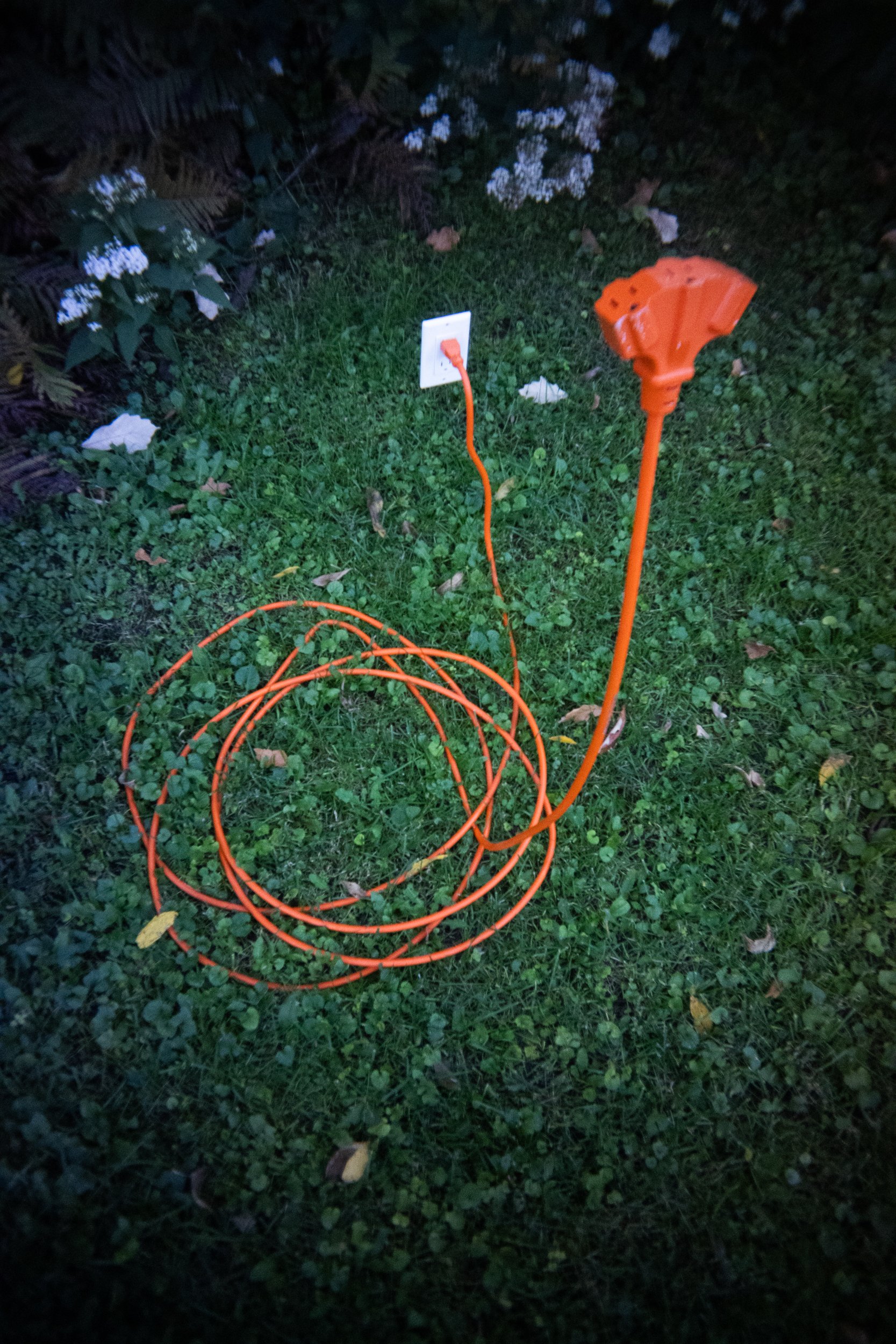 neon-27.jpg