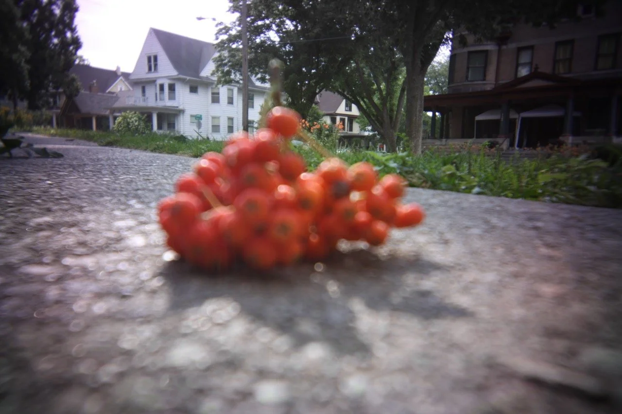 9H4A0525 Large.jpeg