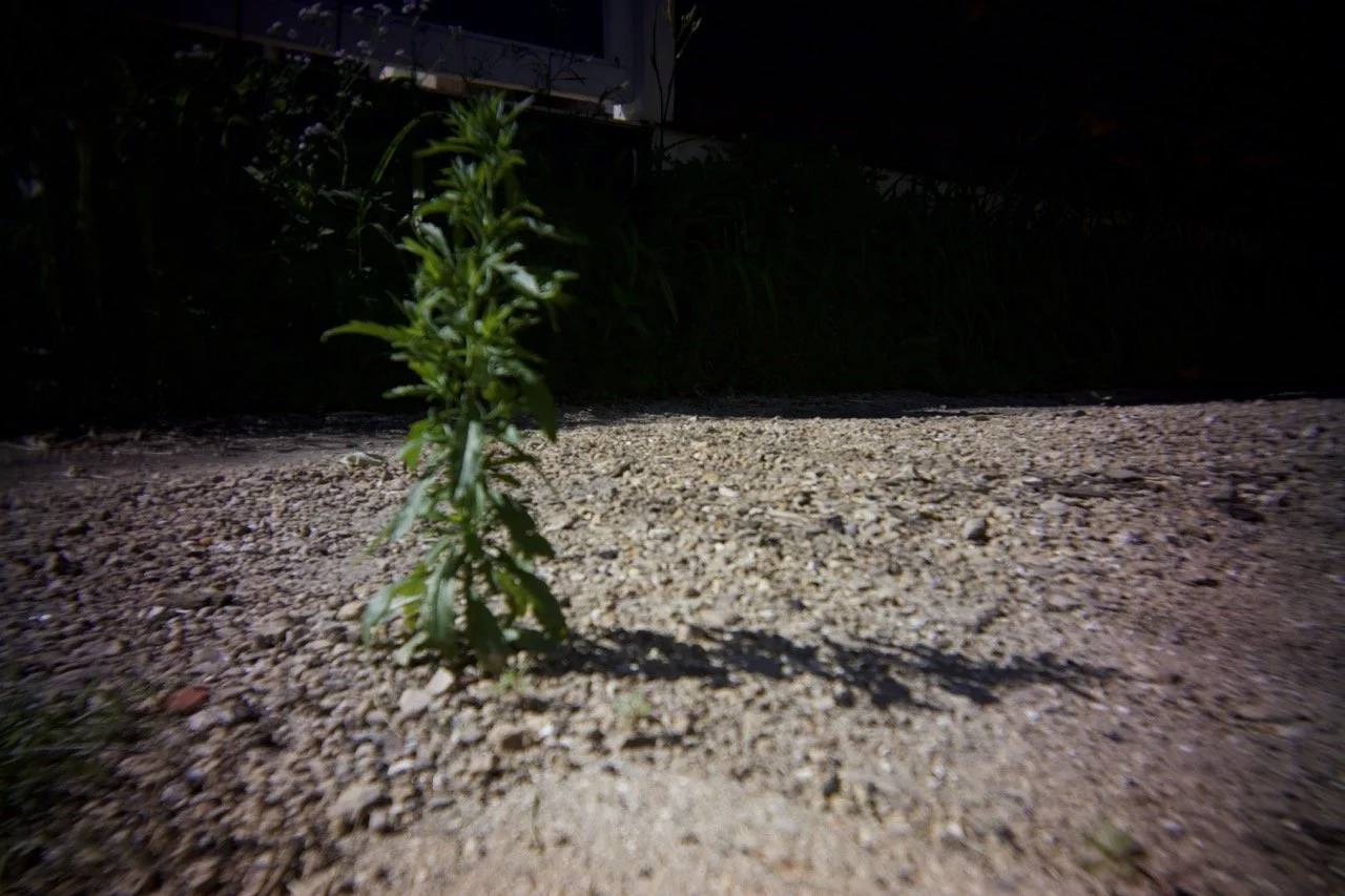 9H4A0020 Large.jpeg