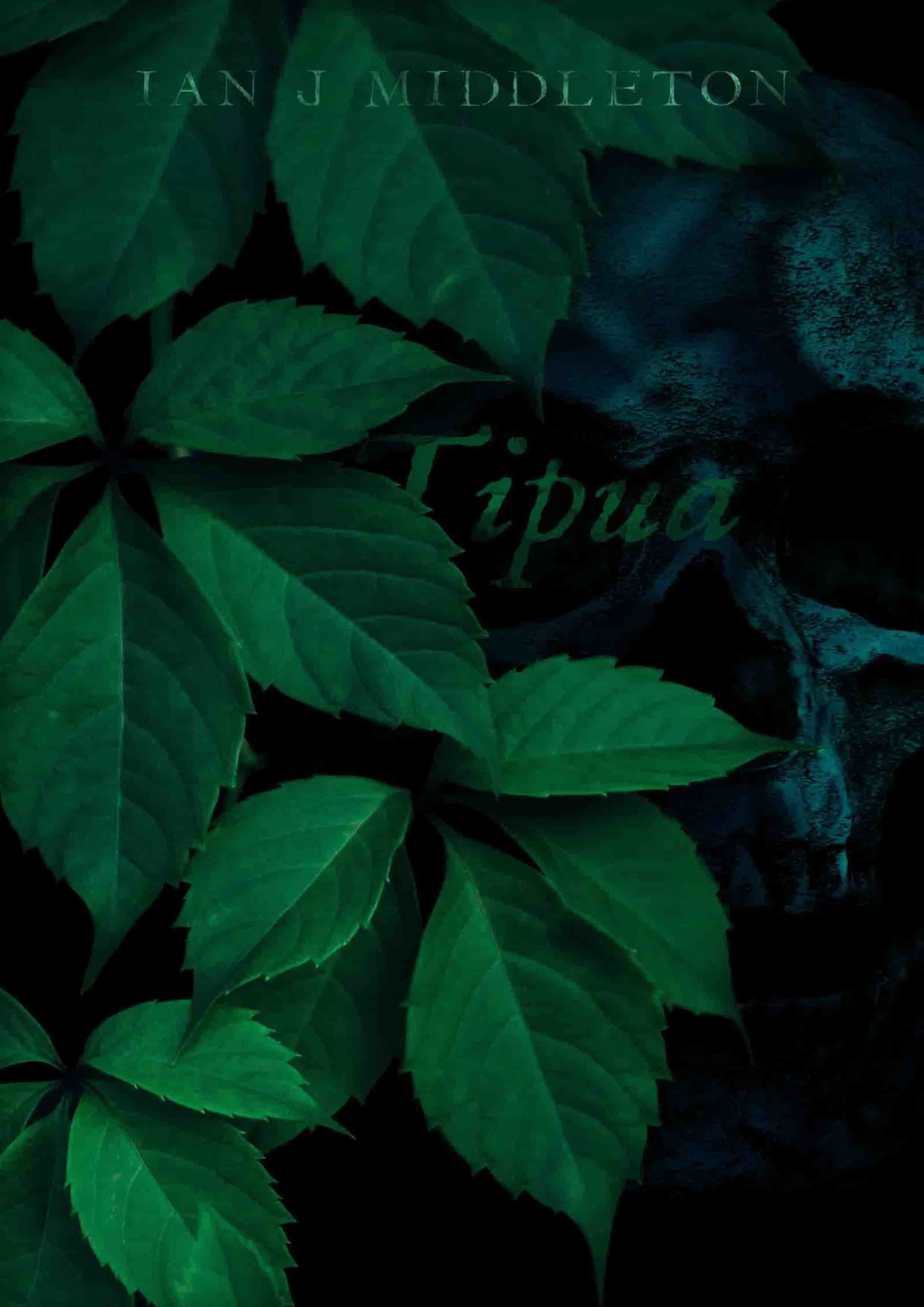 Tipua Cover 3 Reduced Size.jpg