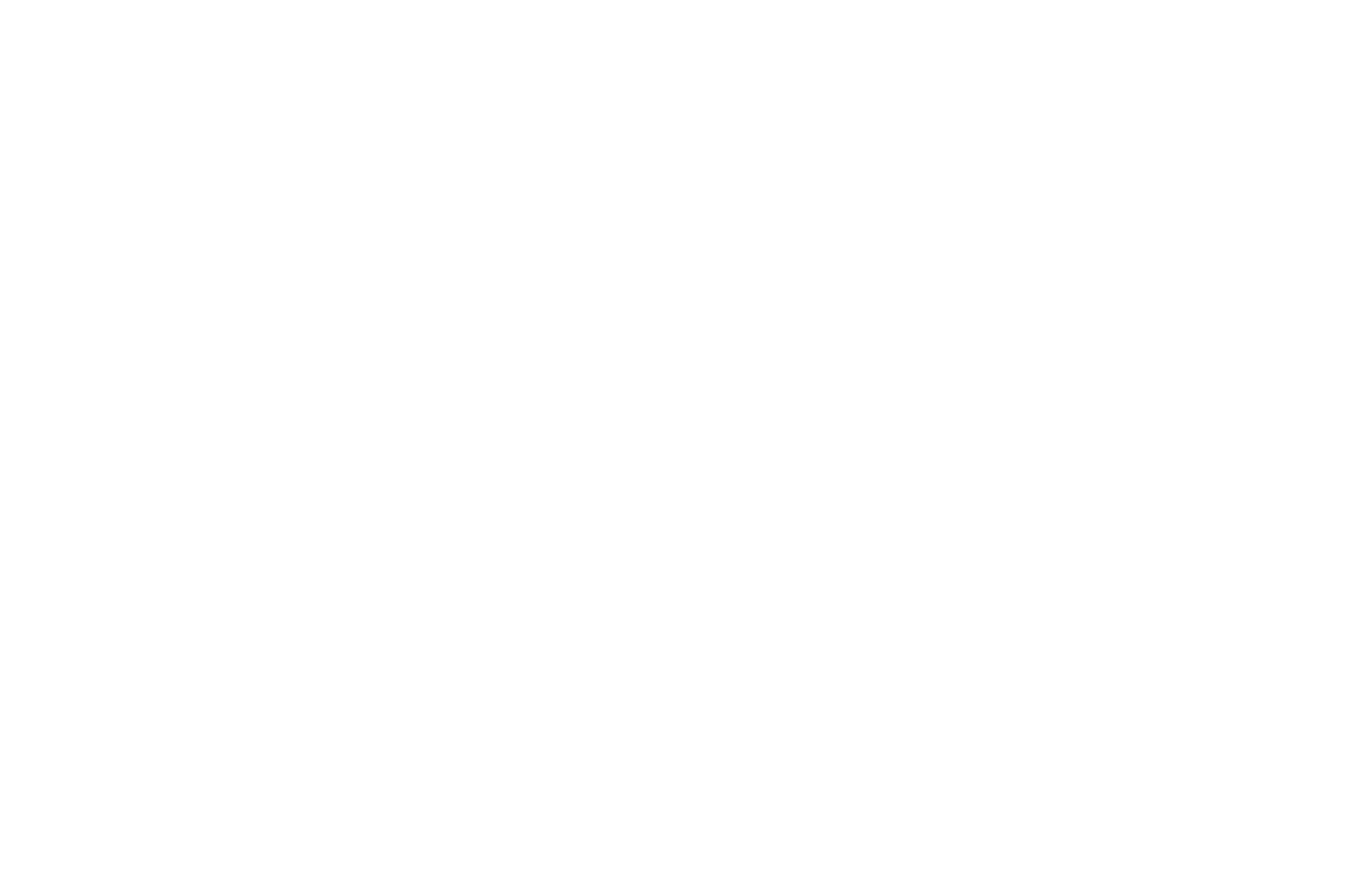OFFICIAL SELECTION - Sydney Underground Film Festival - 2021 (1) copy.png