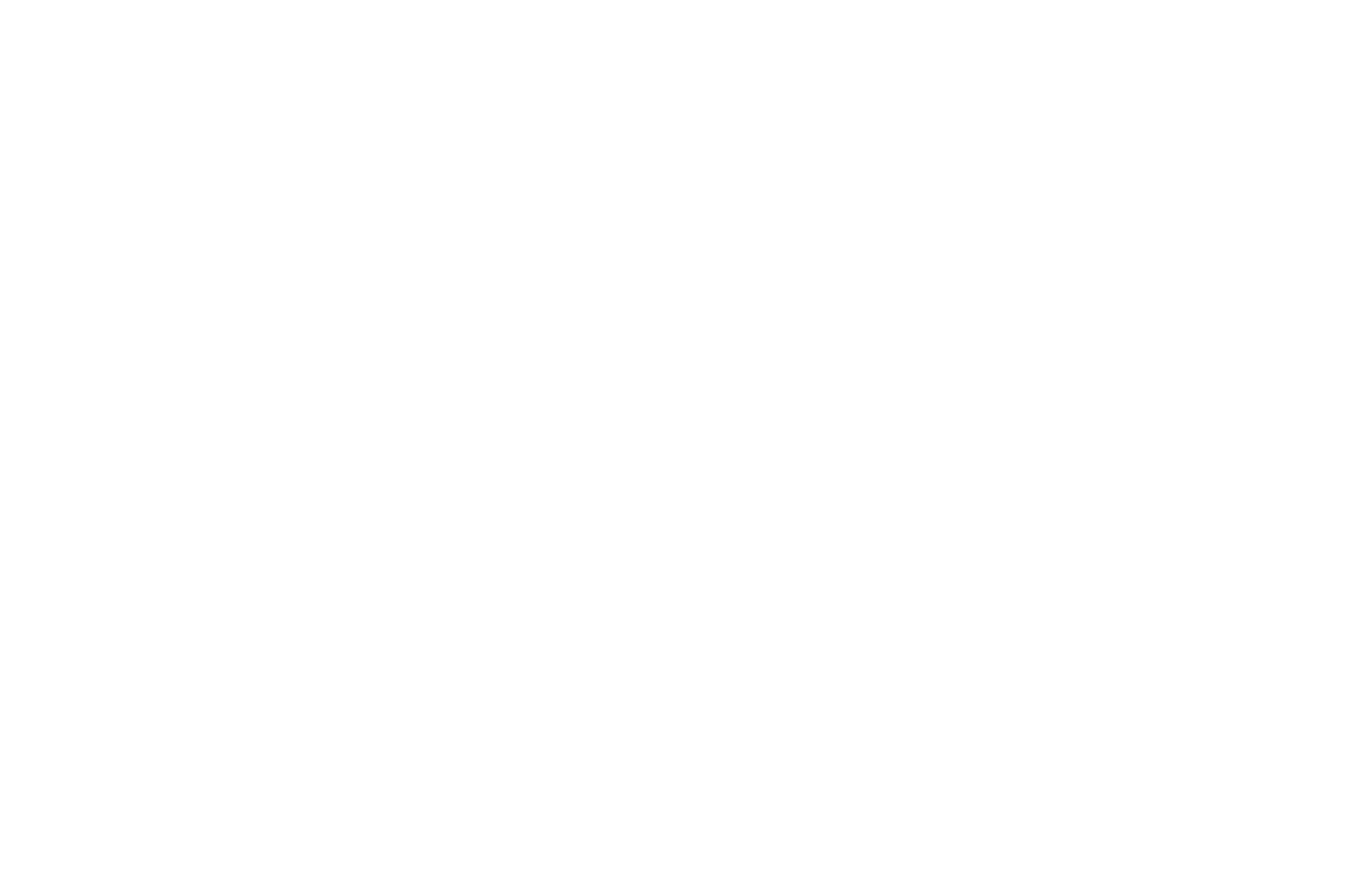 OFFICIAL SELECTION - Fantafestival - 2021 (1).png