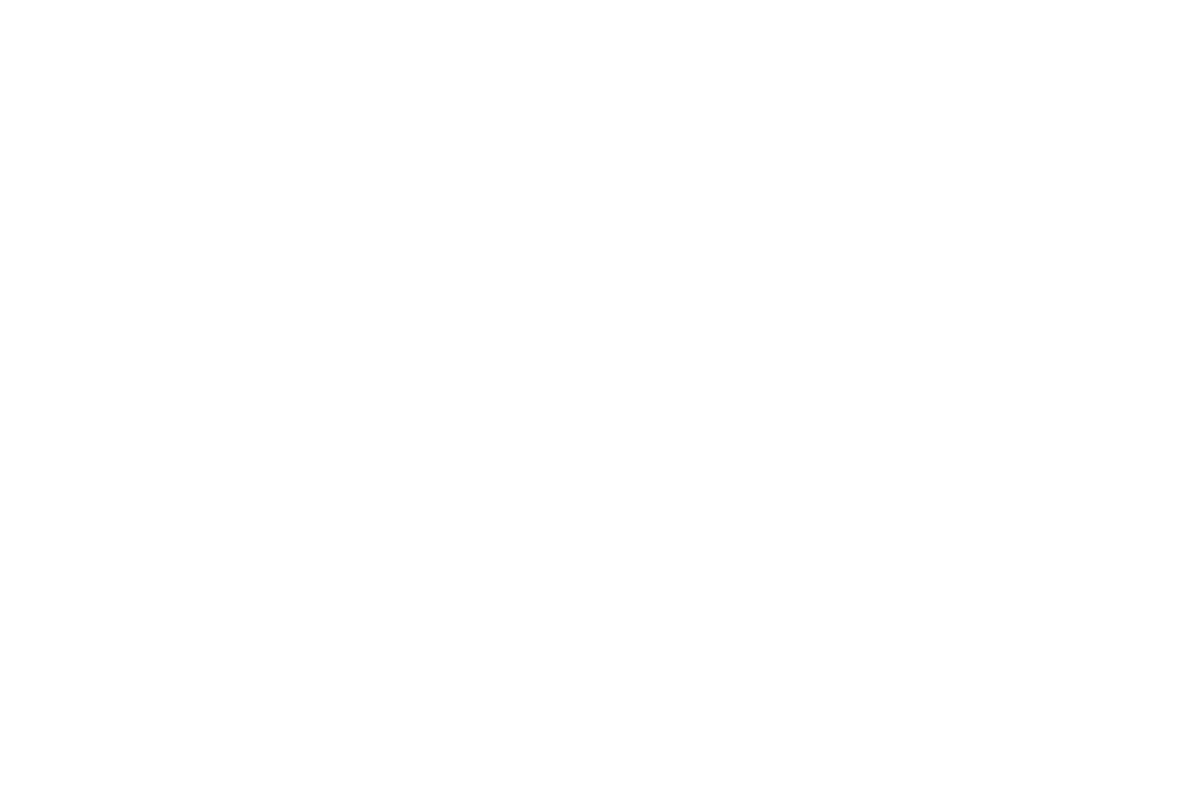 Best Animation - The Philip K. Dick Science Fiction and Supernatural Festival - 2021.png