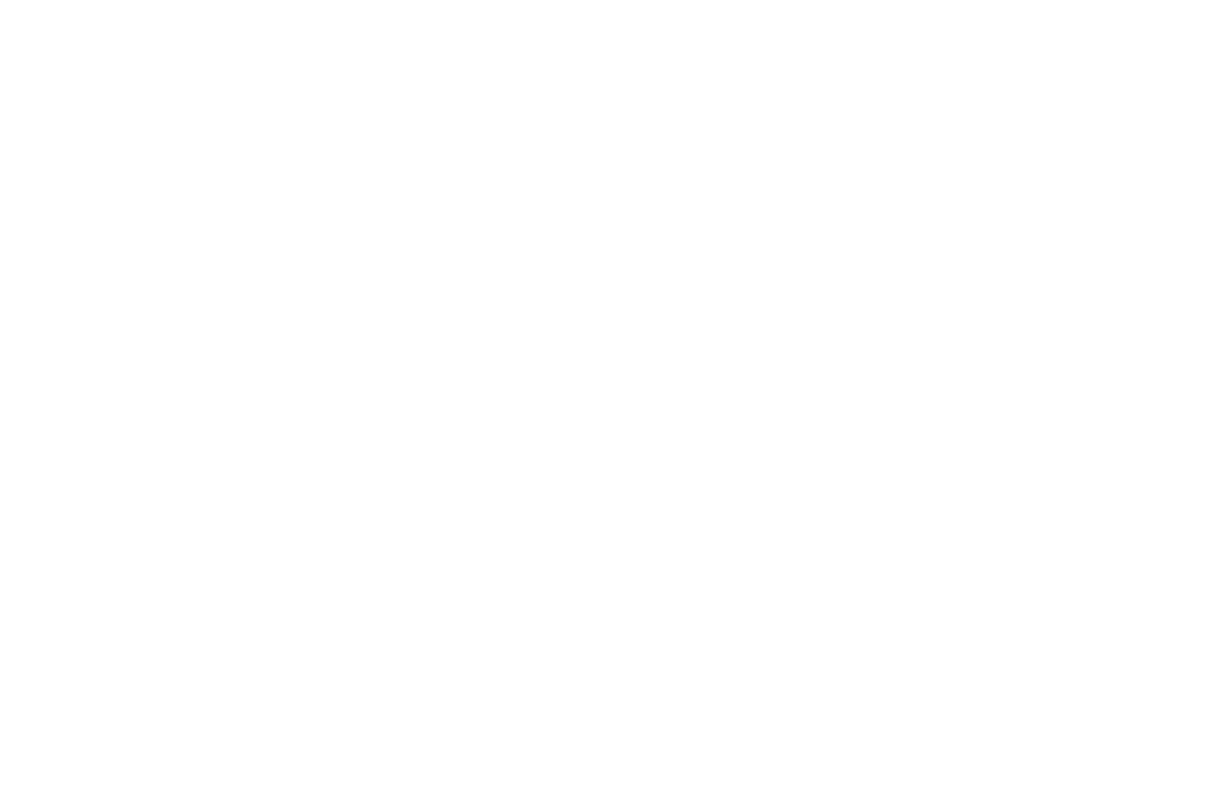 OFFICIAL SELECTION - Arizona Underground Film Festival - 2021 (1).png