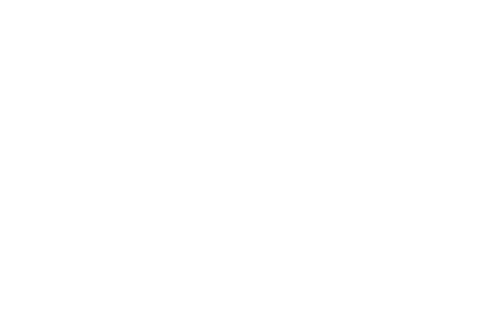 OFFICIAL SELECTION - First Contact Film Festival - 2021 (1).png