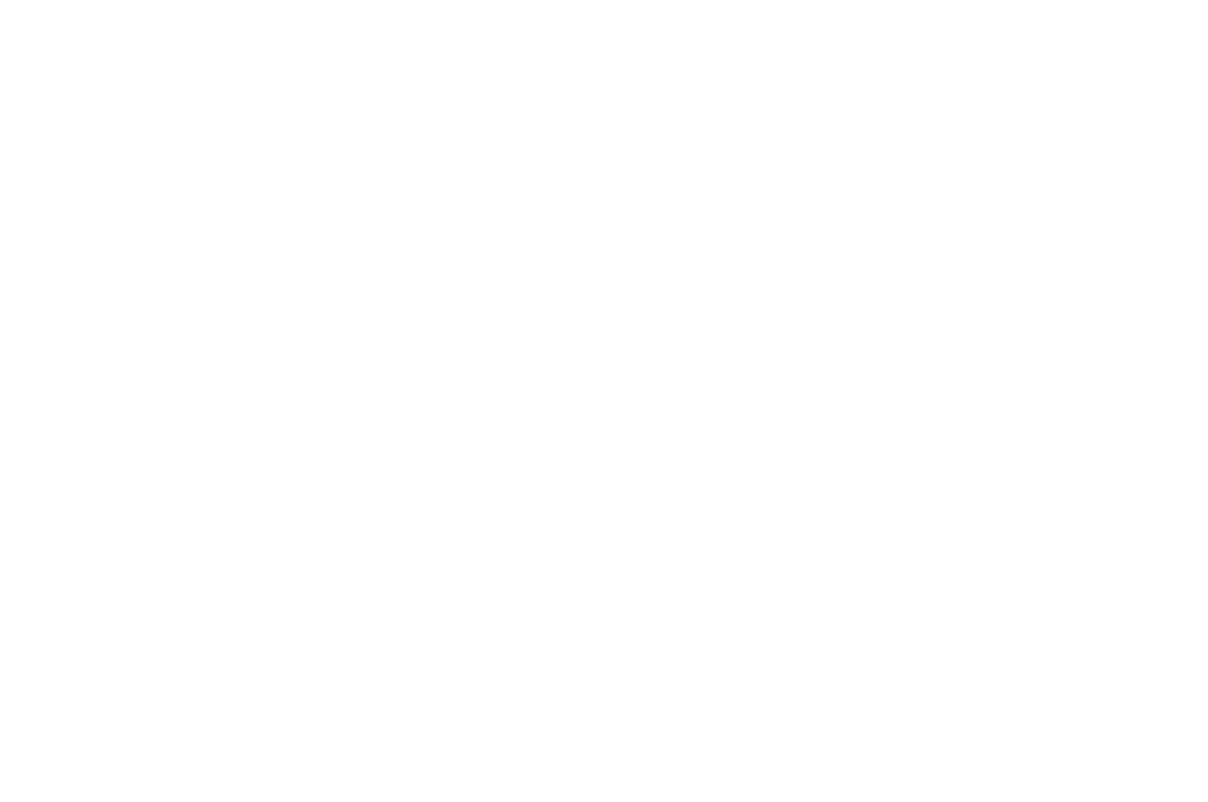 Finalist - Colorado International SciFi  Fantasy Film Festival - 2021 (1).png