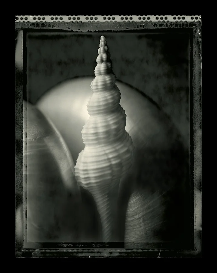 CAM blog shell 2.jpg