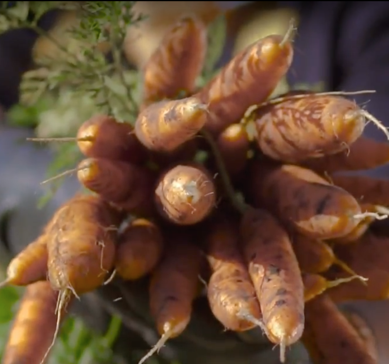 Captura de pantalla 2018-01-09 a las 20.12.26.png