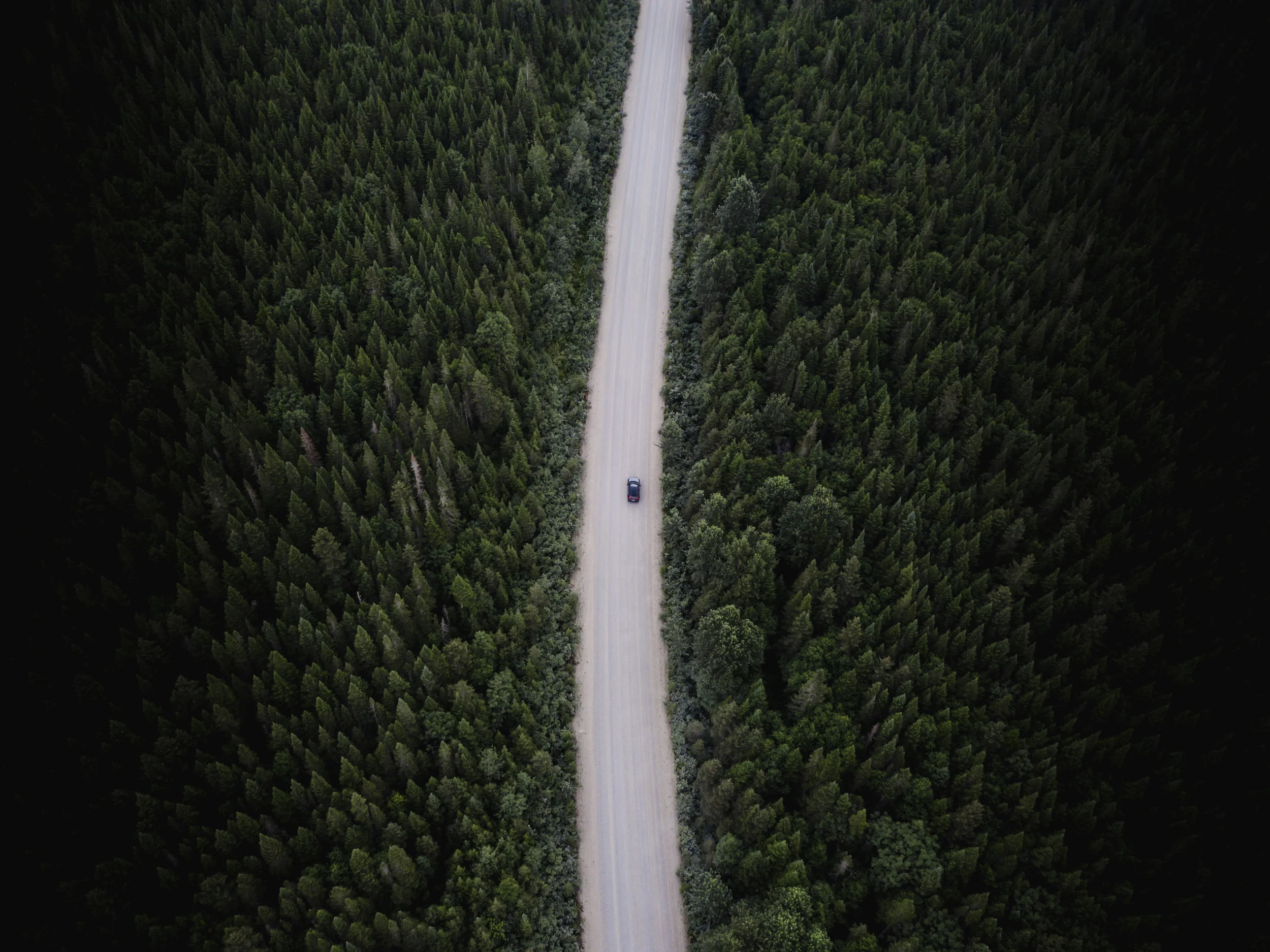 DJI_0017.jpg