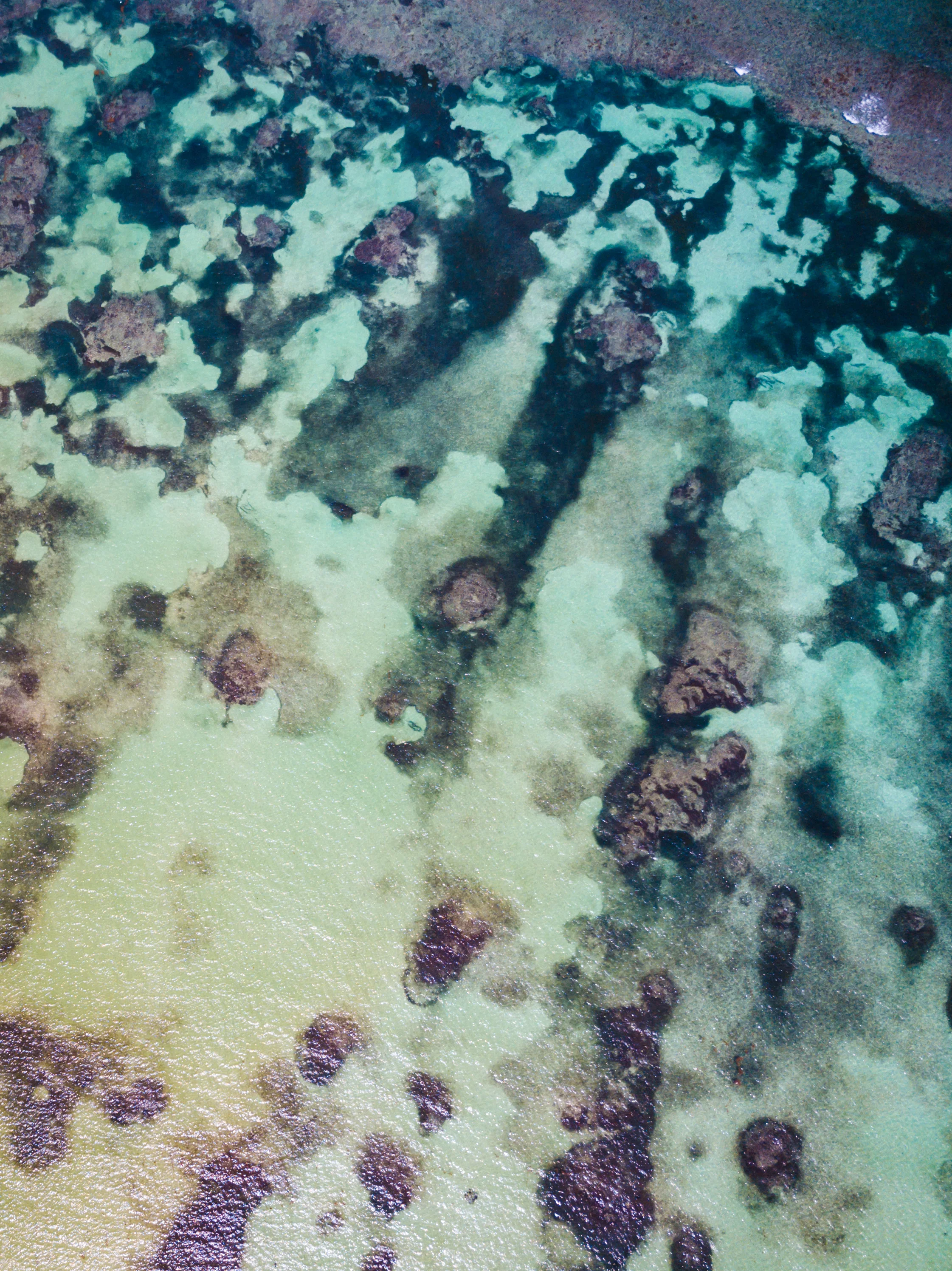 DJI_0156.jpg