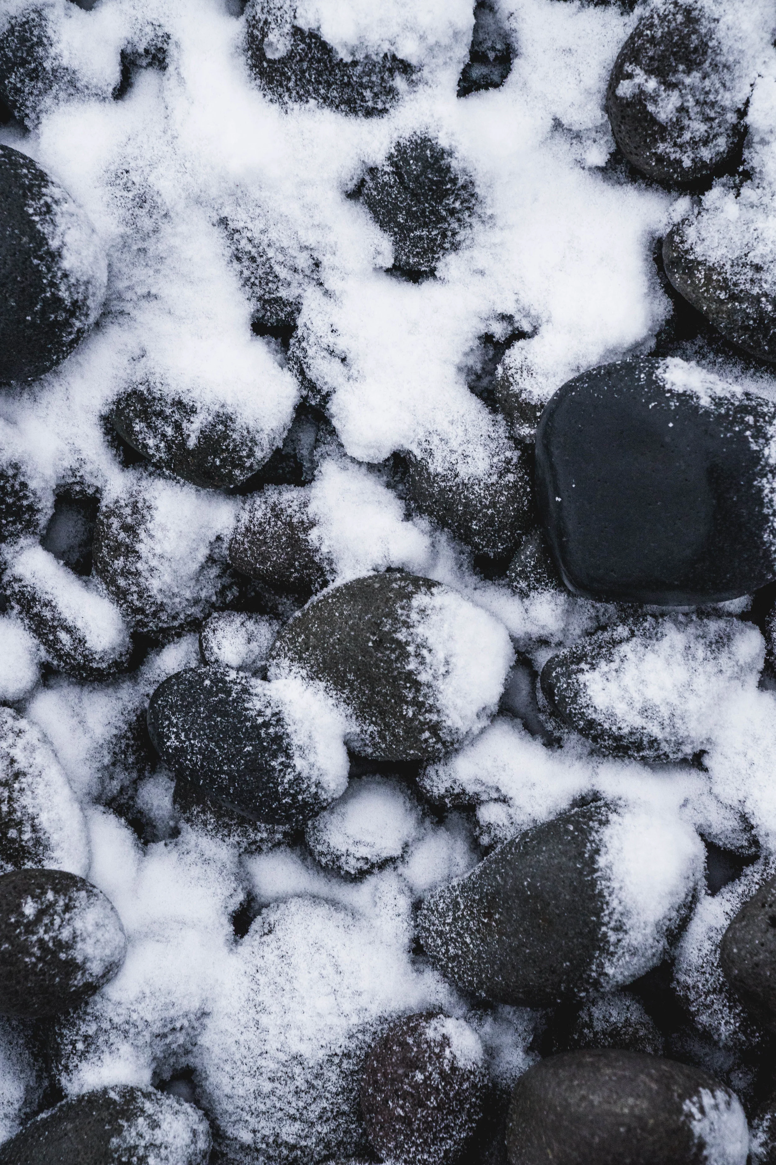 ROCK ROCK_PRINT.jpg