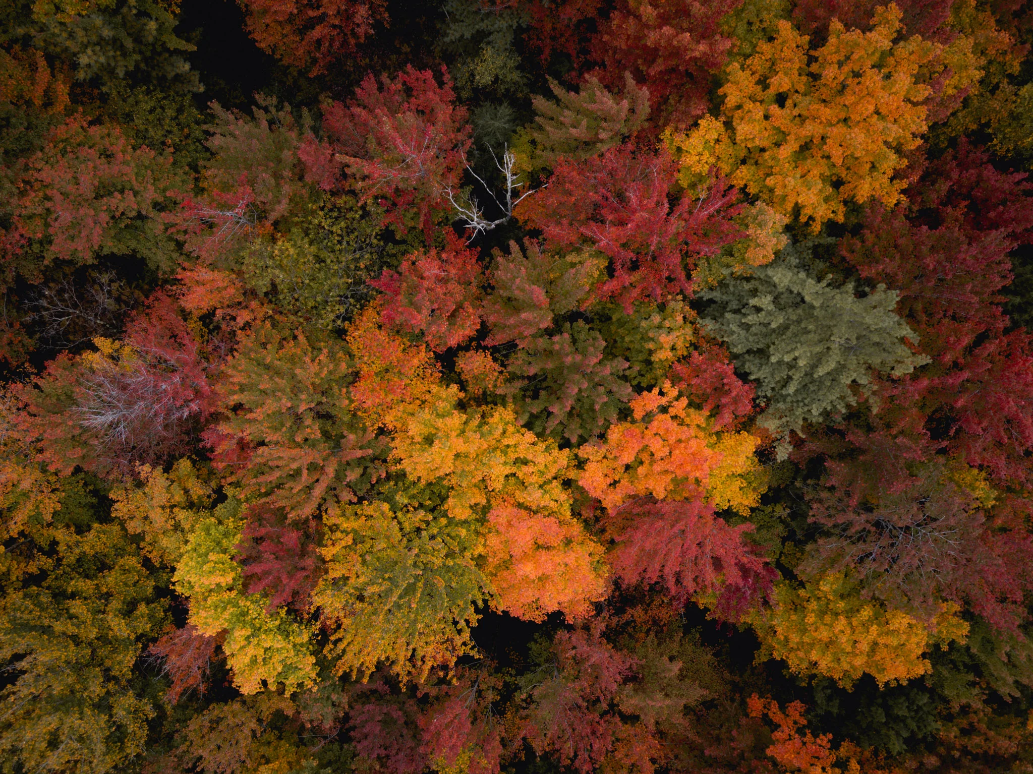 FALL2018-322.jpg