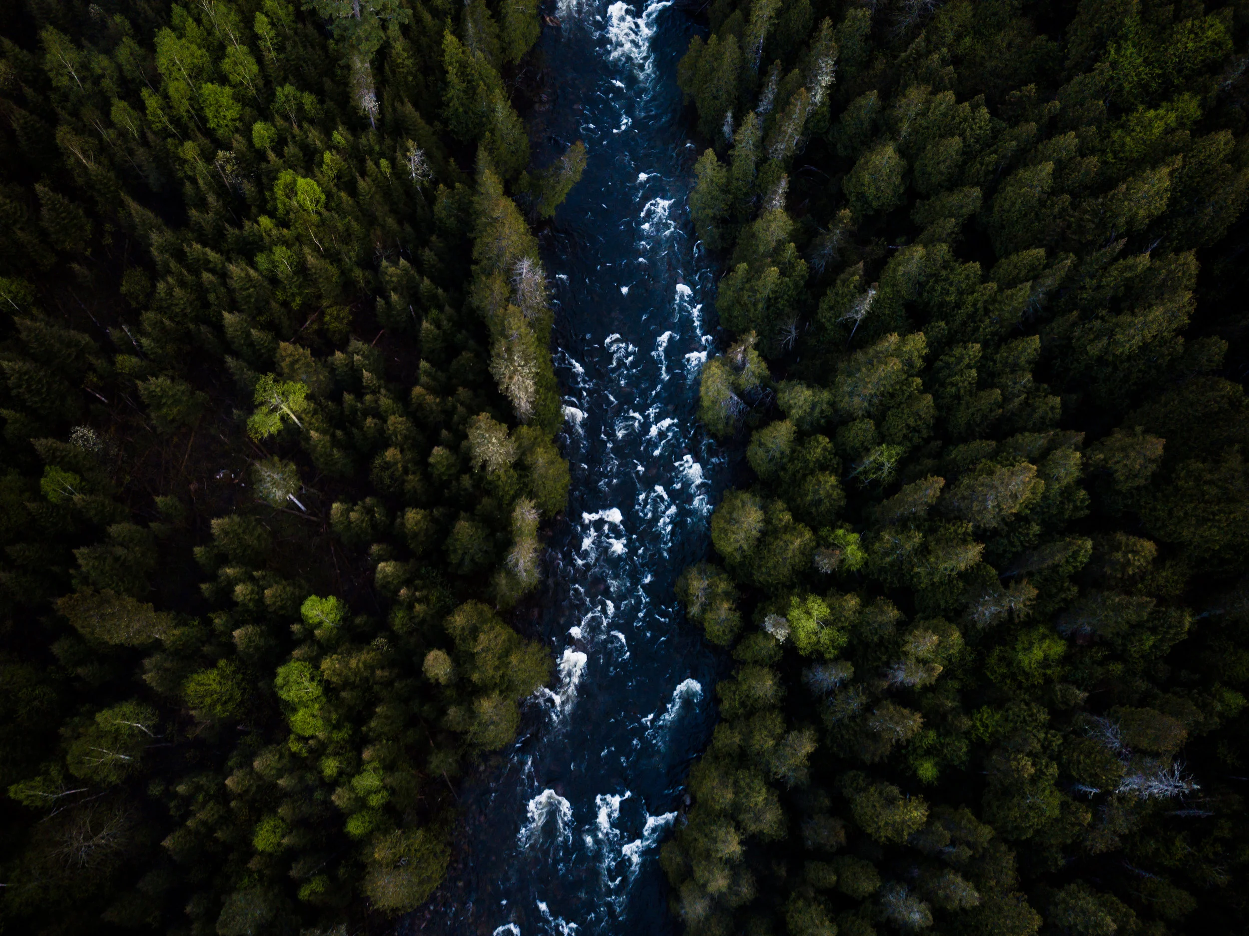 DJI_0023.jpg