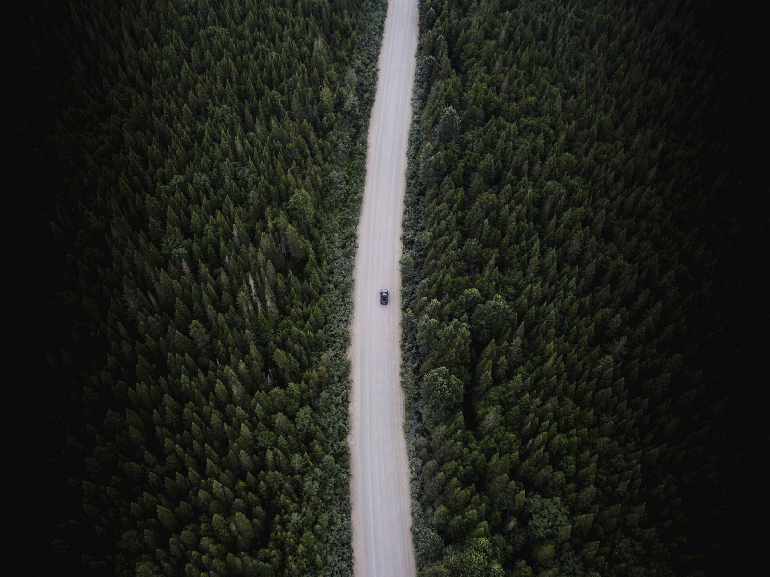 DJI_0017.jpg