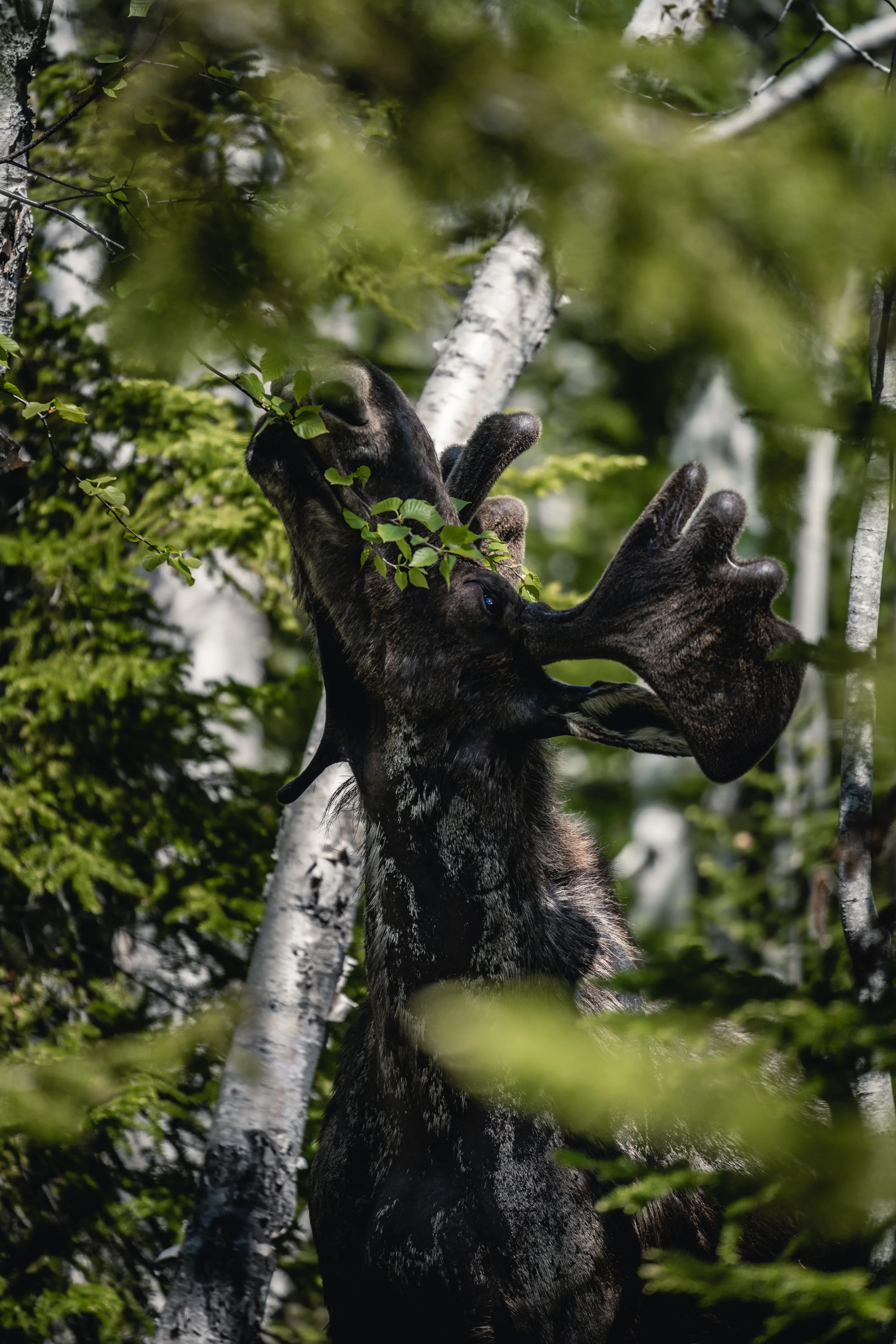 LOTOQC_GASPÉSIE111.jpg
