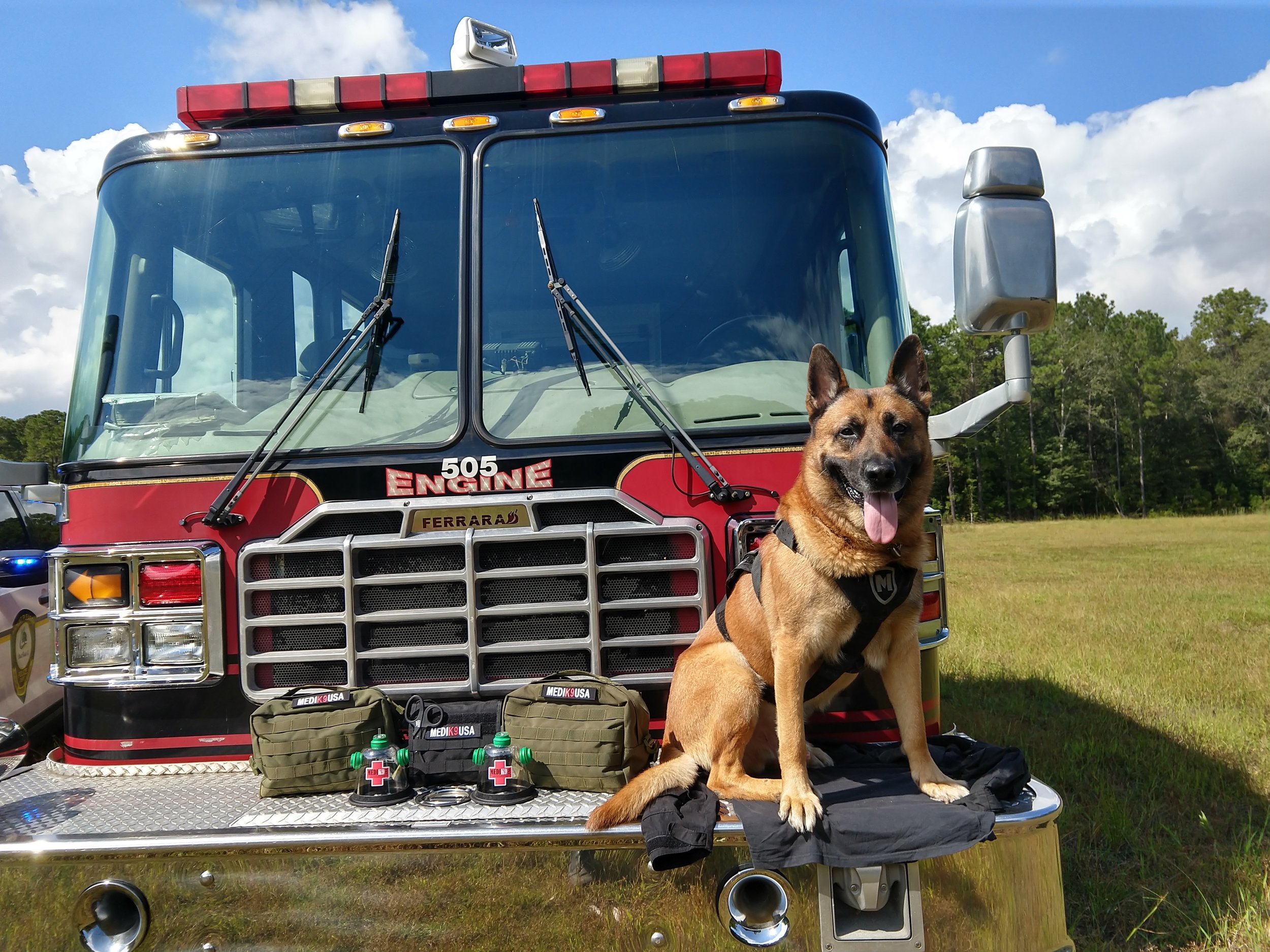 10/1/18 - K9 Thor of the Mount Pleasant Police Department, SC