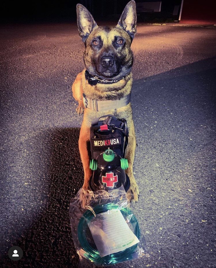5/25/19 - K9 Jax of the Ewing Police Department, NJ