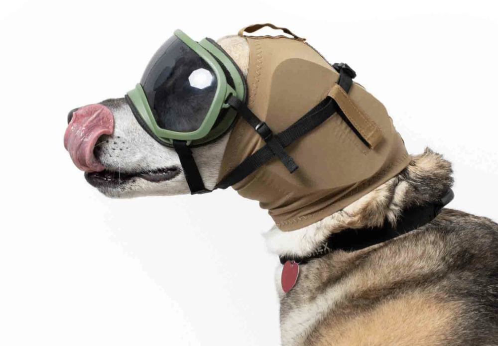 Zeteo Tech Develops Hearing Protection for Military Dogs