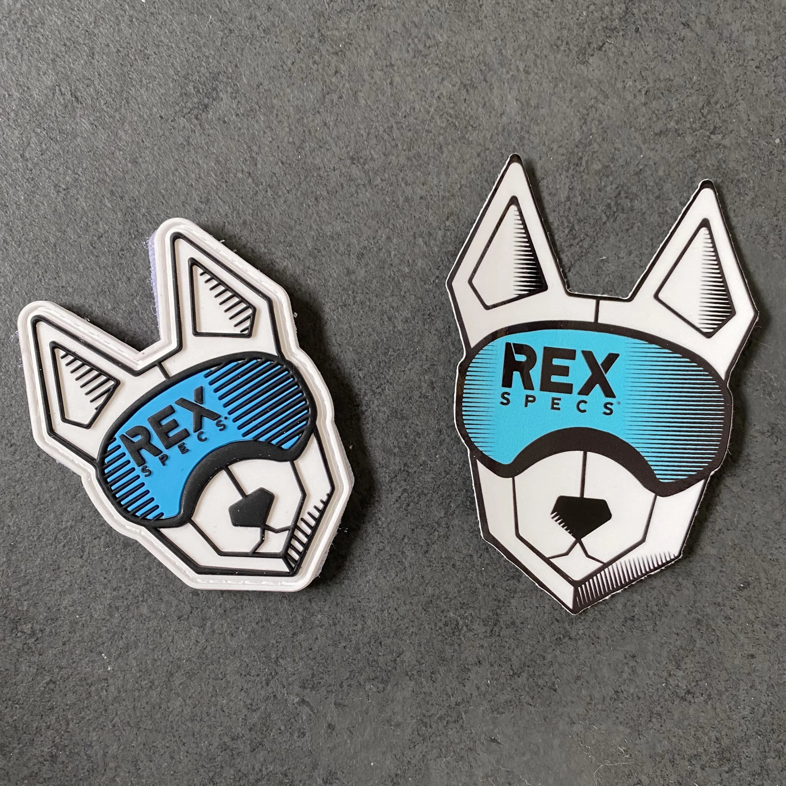 rexpatch.jpg