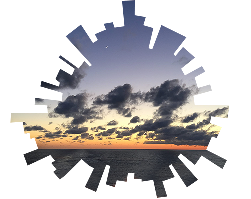 Cruise.png