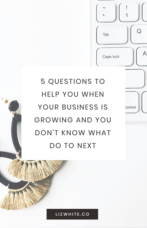 Is your business growing? Are you having trouble thinking about what you need to do next? Follow these 5 questions when you need a bit of guidance.