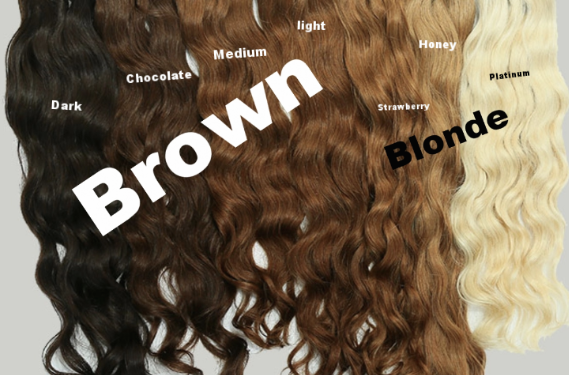 Color Family 2.png