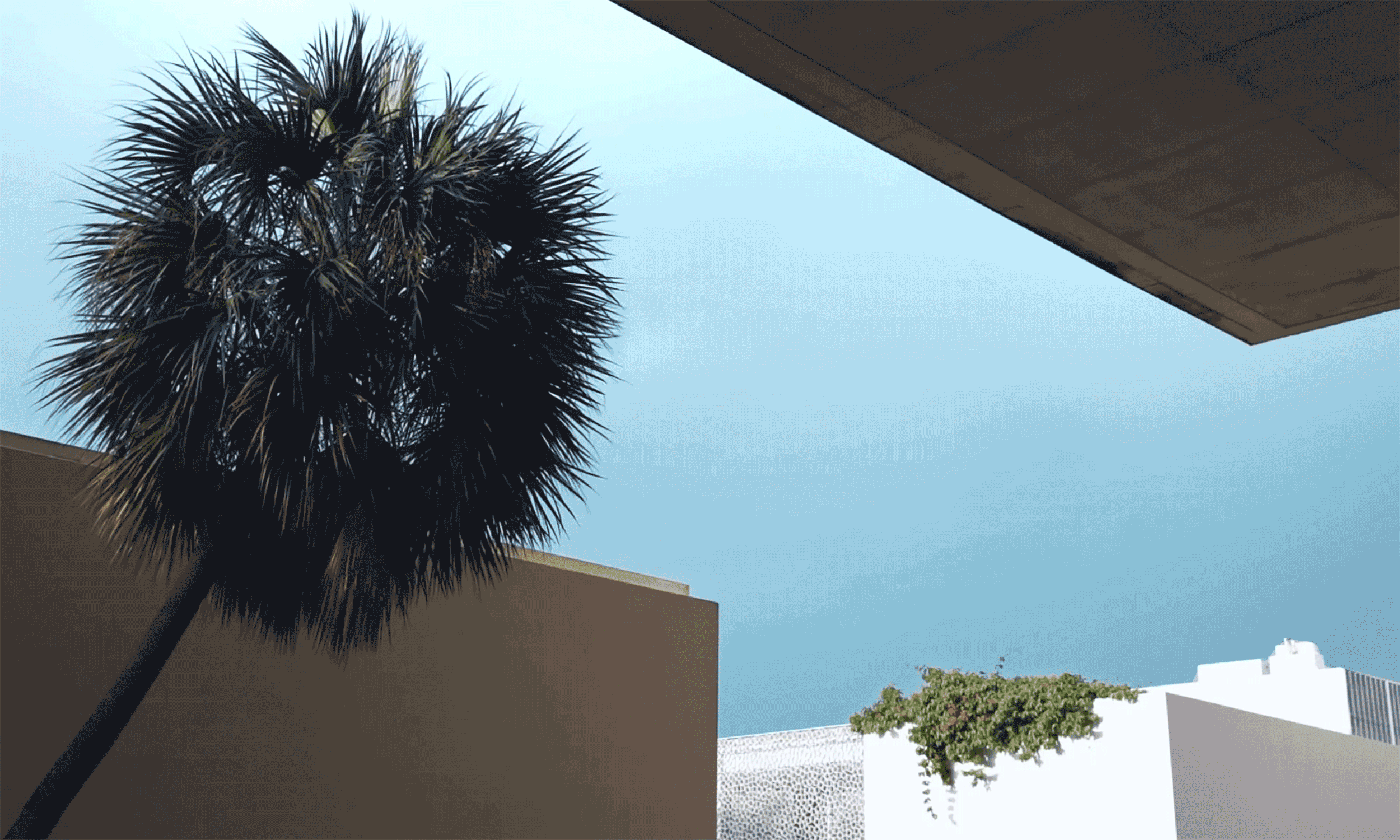 modern_design_perspectives_studio_rodrigo buelvas.gif