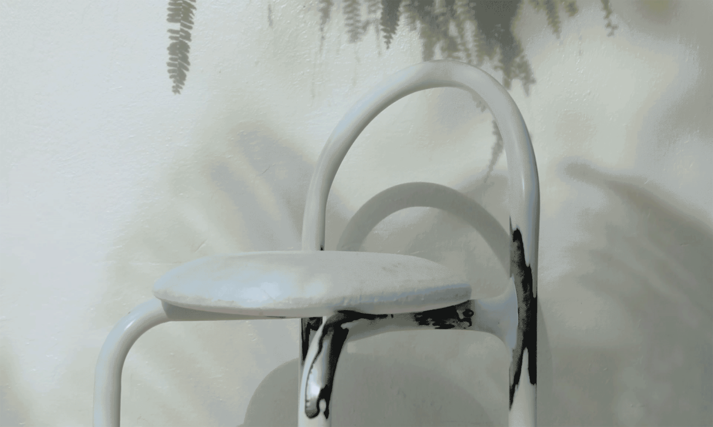 quality_impeccable_aesthetics_studio_rodrigo buelvas.gif