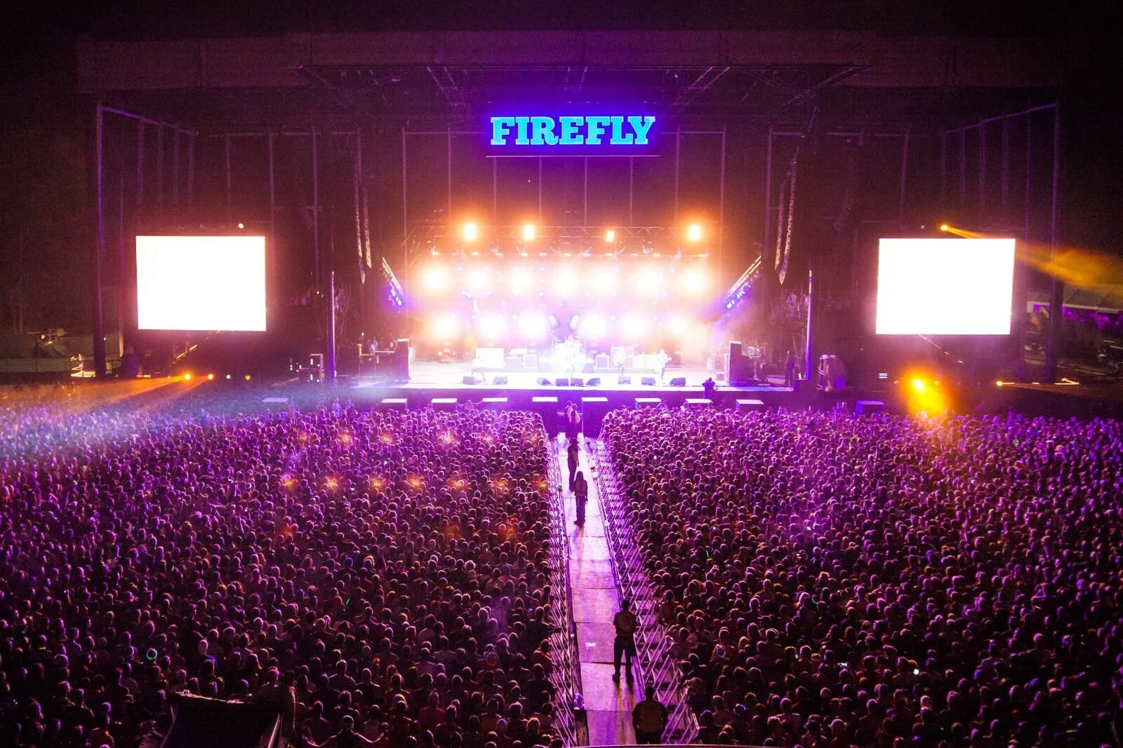 firefly-photo.jpg