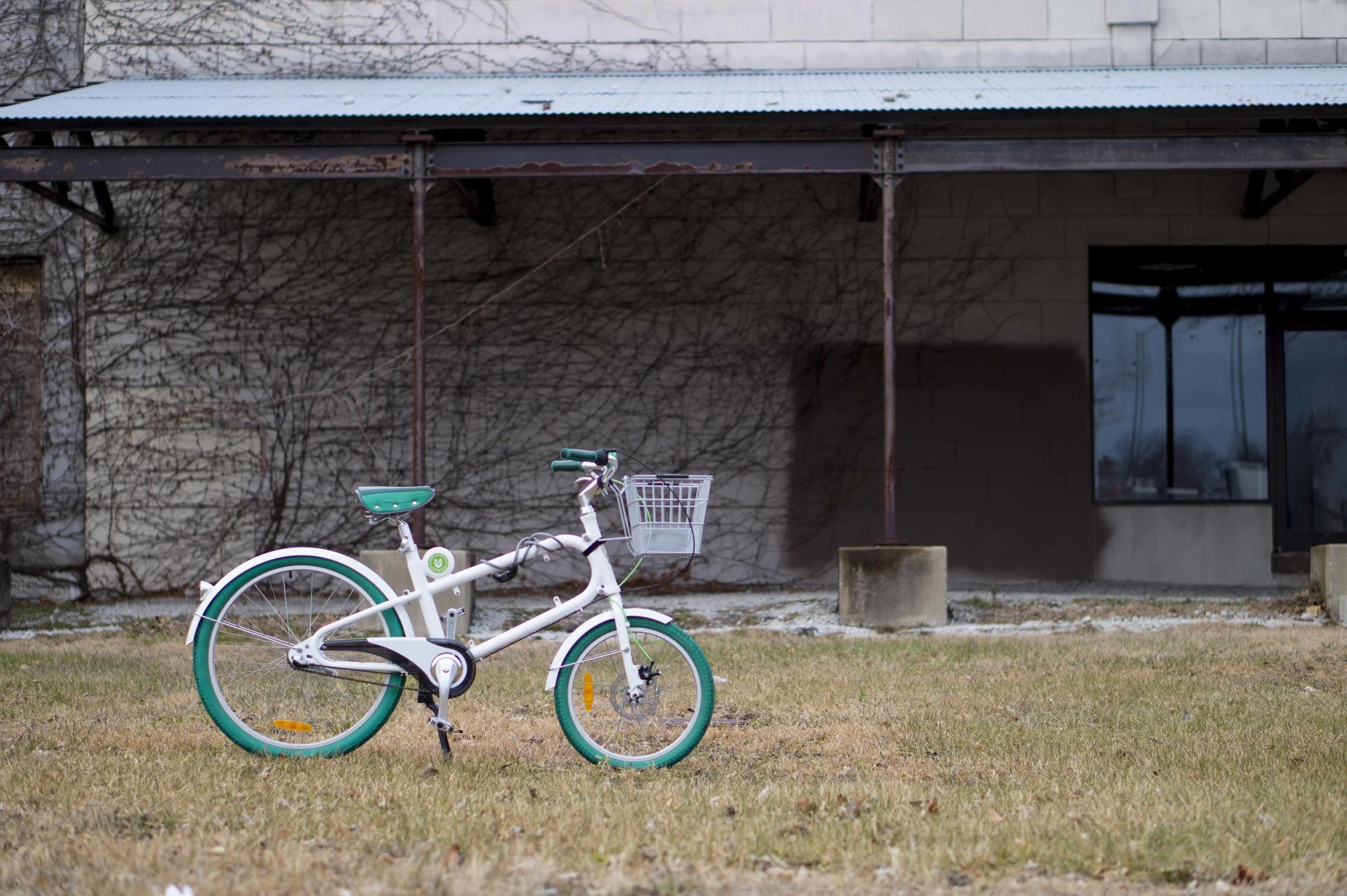 bike 4.JPG