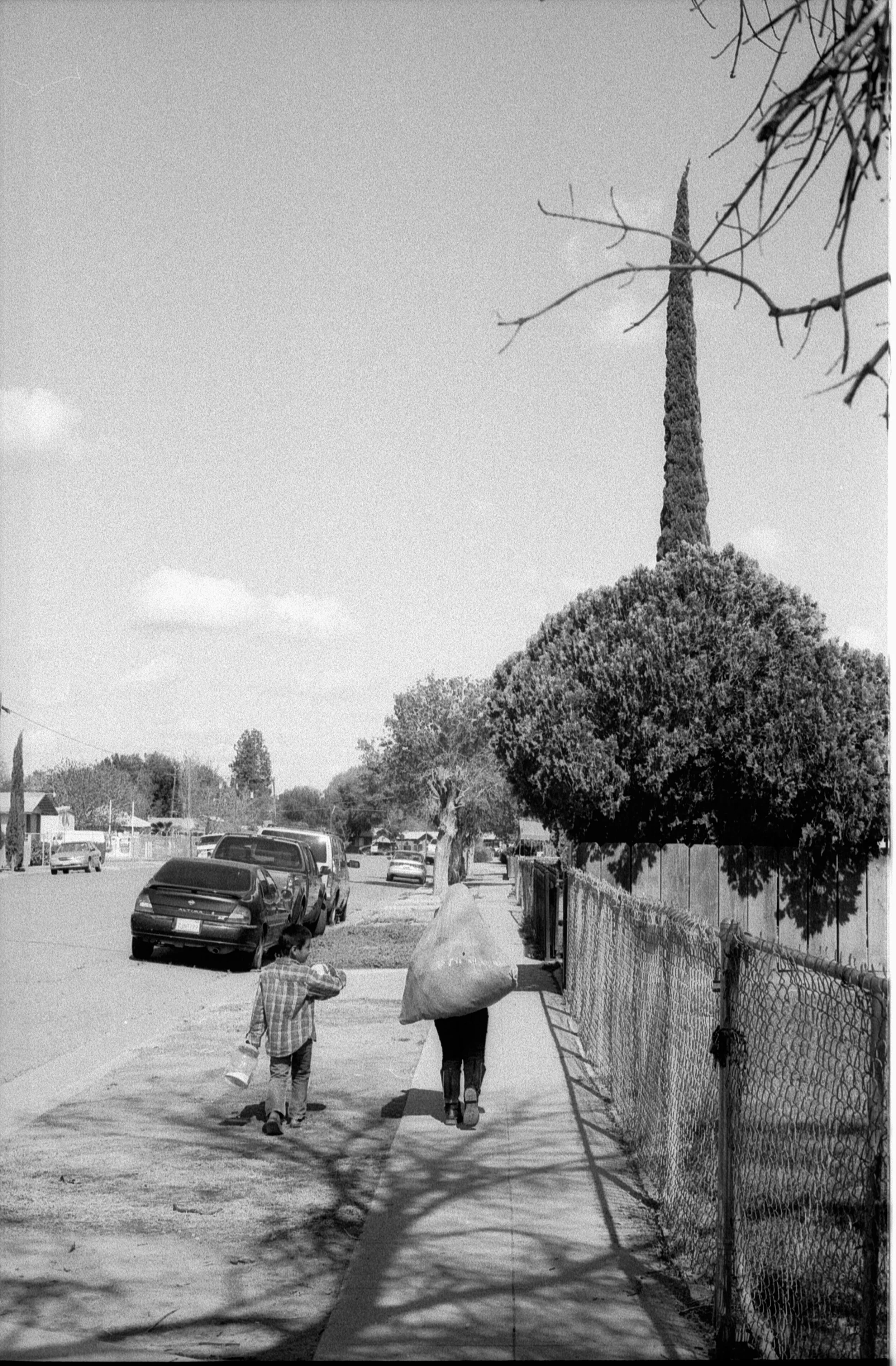  Minolta 5000 | SFX 200 