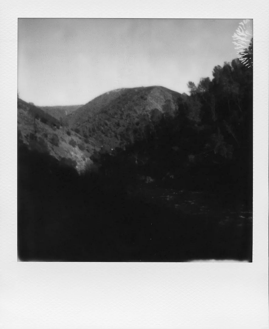 img20220131_19314437-2 copy.jpg