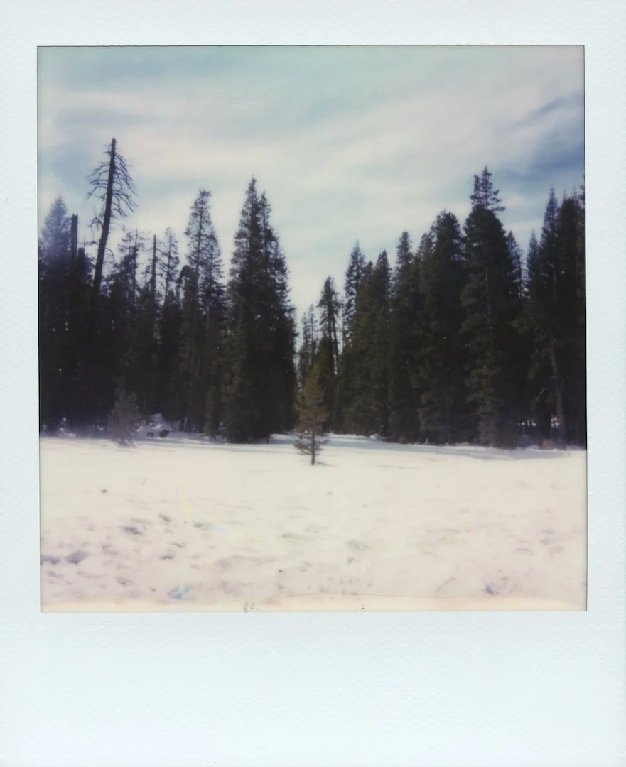 img20220131_18420953-4 copy.jpg