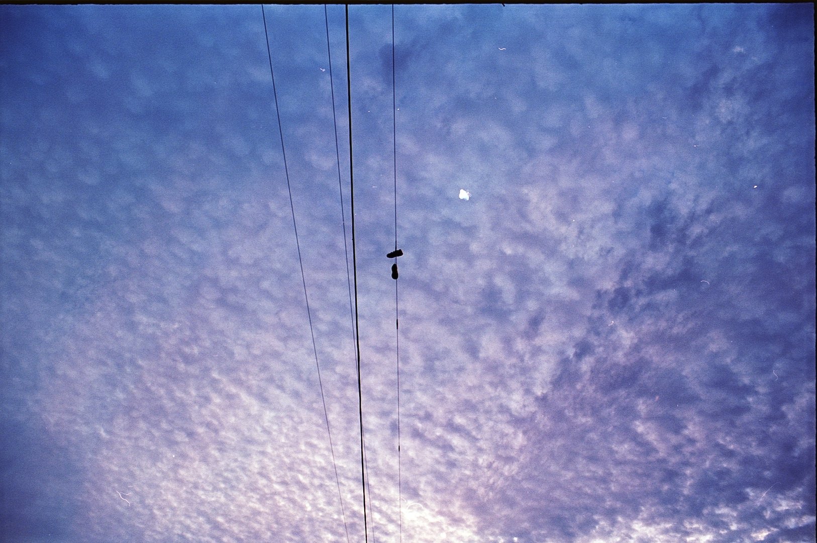 Ektar_Nov_11 copy.jpg