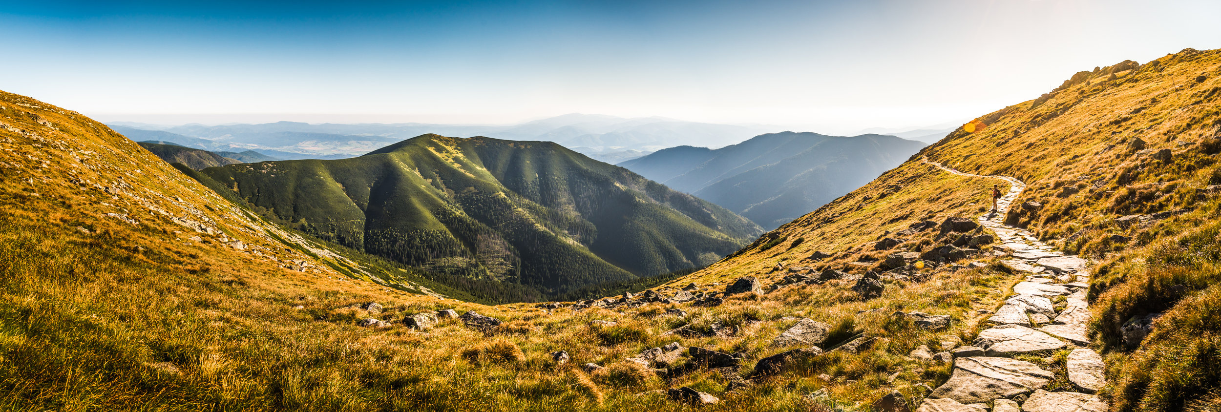 AdobeStock_128784878.jpeg