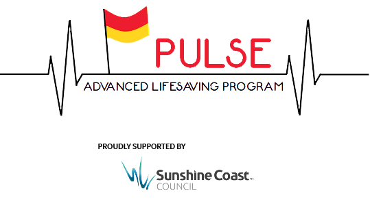PULSE copy.png