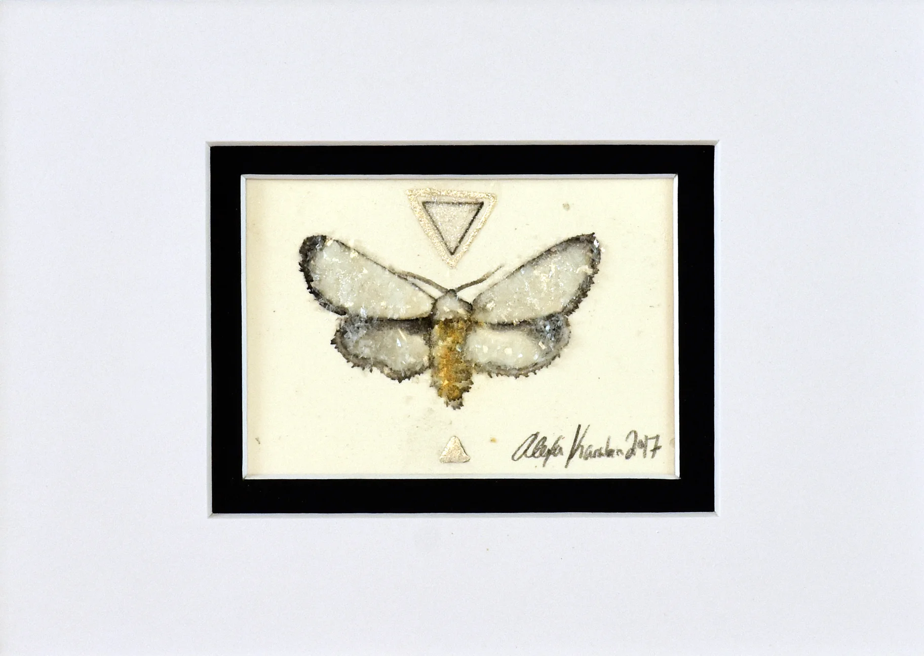 2018moth4.jpg