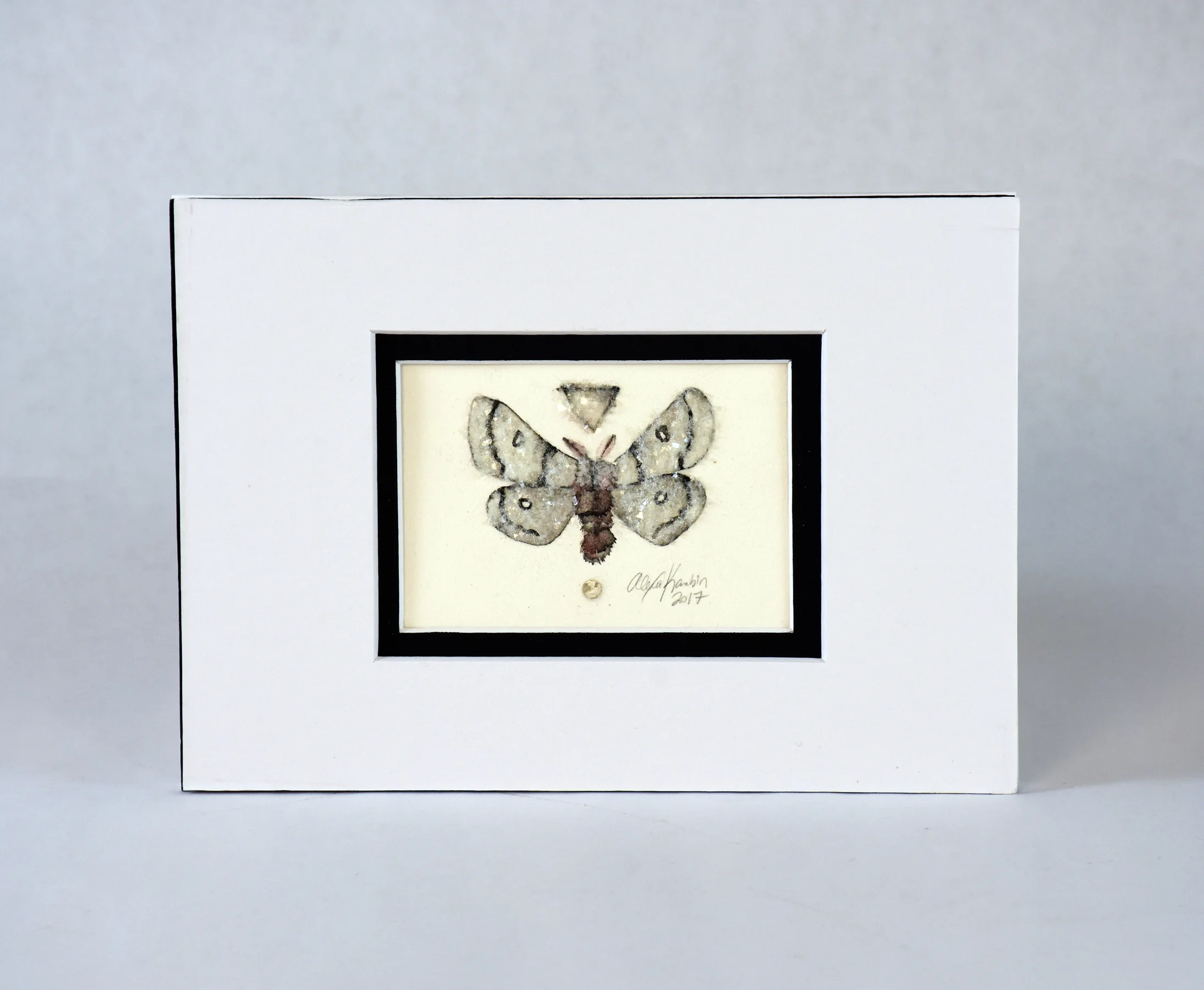 2018moth2-4.jpg